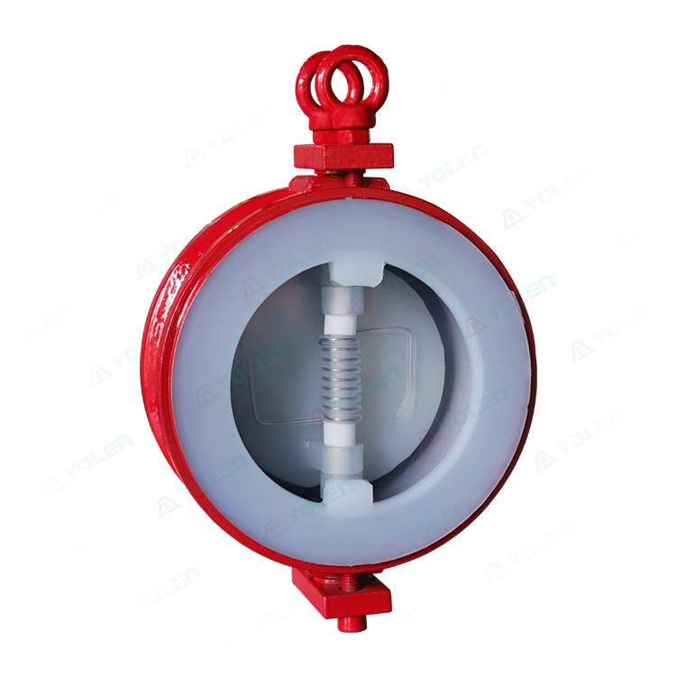 H76 Fluorine-Coated Flanged Double-Leaf Check Valve