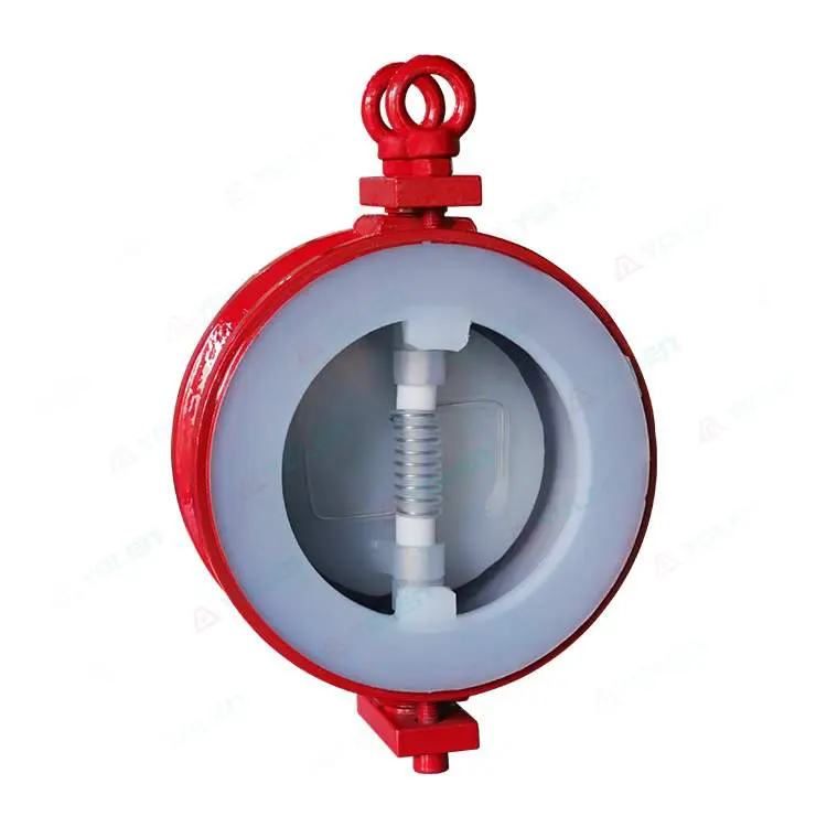 H76 Fluorine-Coated Flanged Double-Leaf Check Valve