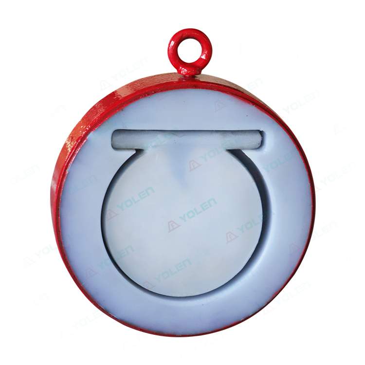 H74 fluorine-coated flanged gate check valve