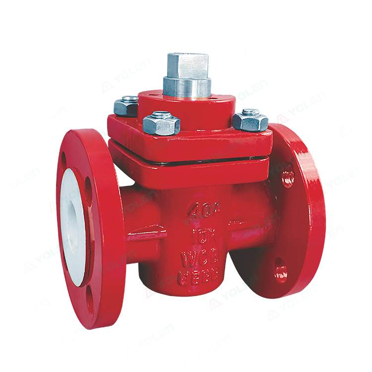 X43 Fluorine-Coated Check Valve