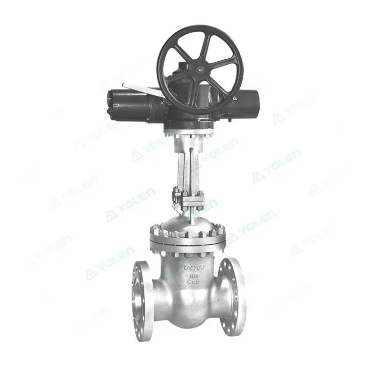 Electric stainless steel gate valve