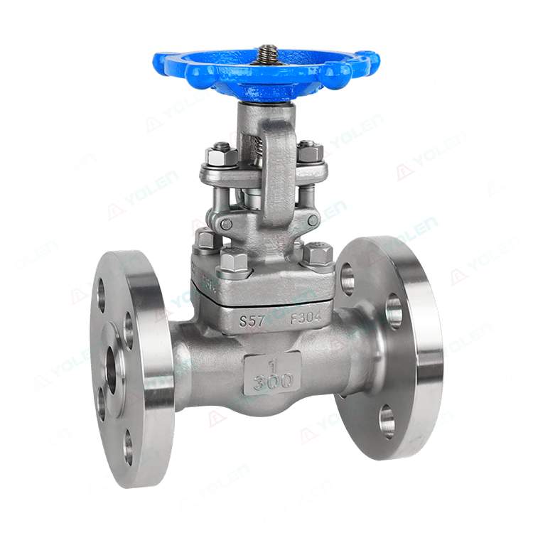 Forged steel gate valve