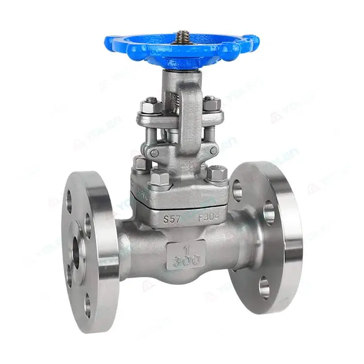 Forged steel gate valve