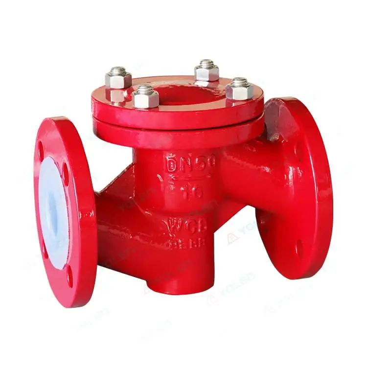 H41 Fluorine-Coated Lift-Type Check Valve