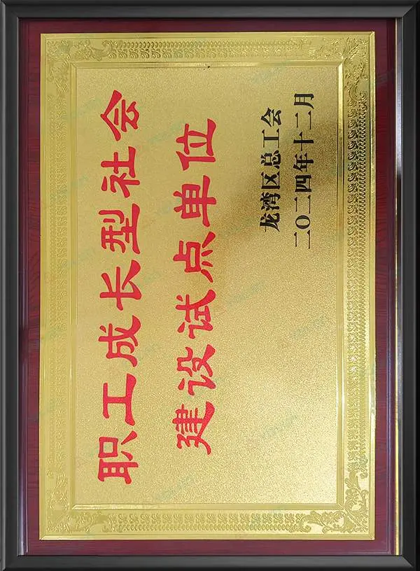 Pilot Unit for the Construction of a Growth-oriented Employee Social System