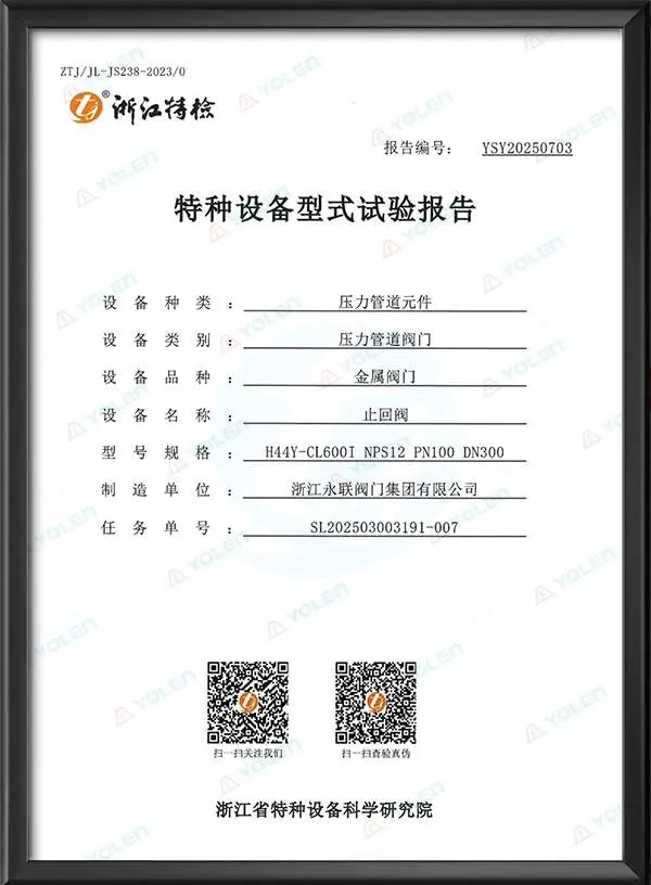 Check Valve Special Equipment Type Test Report