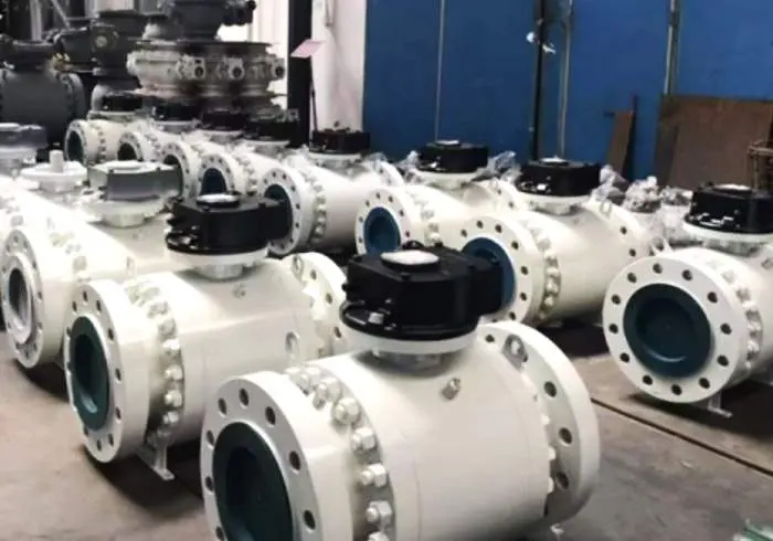 Live-action presentation