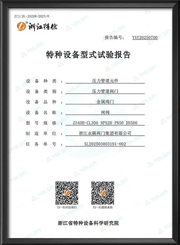 Gate Valve Special Equipment Type Test Report