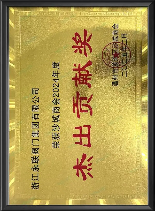 The 2024 Outstanding Contribution Award is presented to the Shacheng Chamber of Commerce of Longwan District, Wenzhou City.