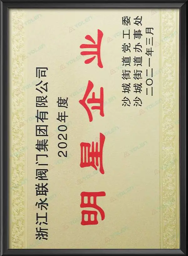 Star Enterprise of Shaicheng Sub-district in 2020