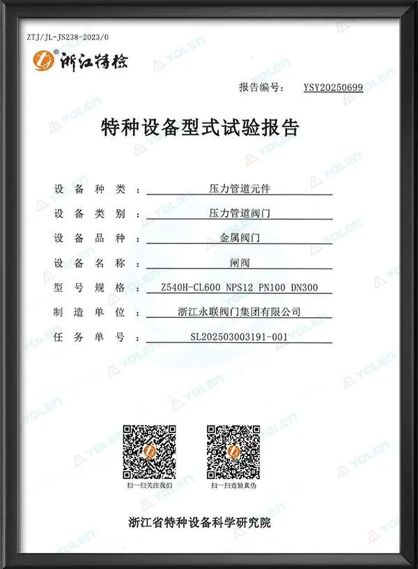 Gate Valve Special Equipment Type Test Report