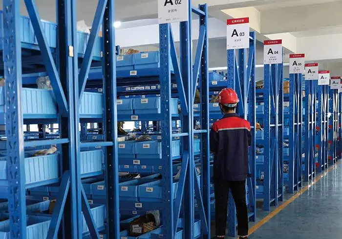 Live-action presentation