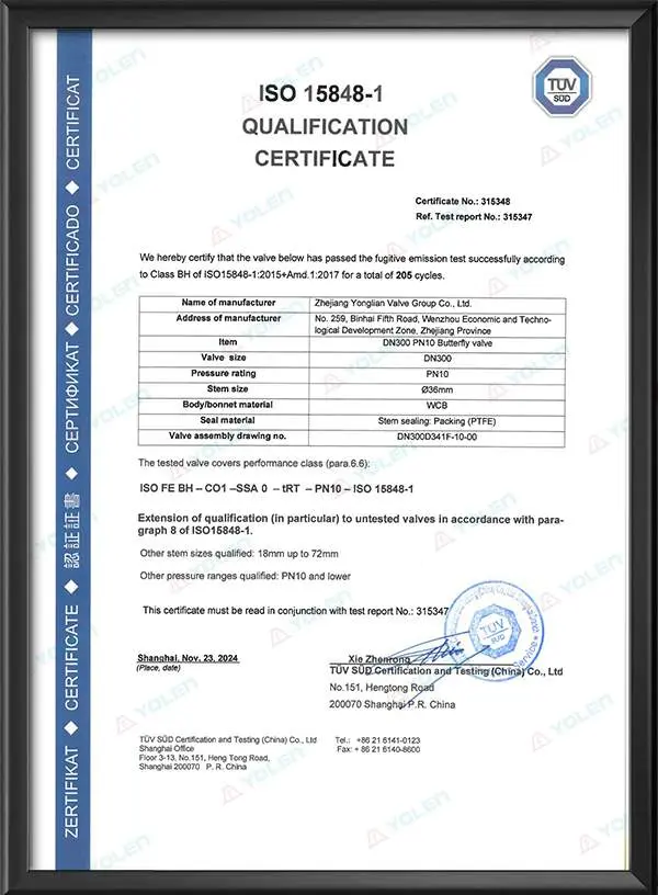 Butterfly Valve Low Emission Inspection Report