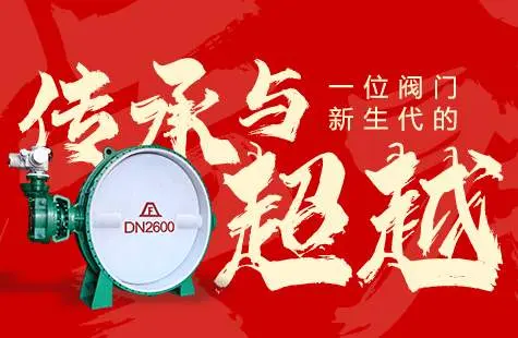 From "Establishing a Career" to "Innovating and Advancing" - The Legacy and Evolution of a New Generation of Valves