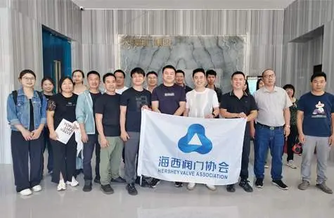 Warmly welcome the leaders of Haixi Valve Association to come and offer guidance.